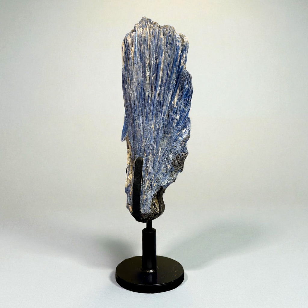 Kyanite and Quartz