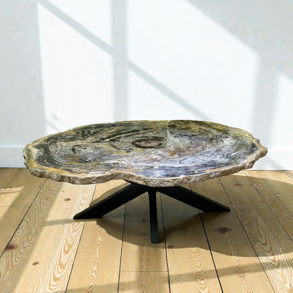 Arizona Petrified Wood Coffee Table