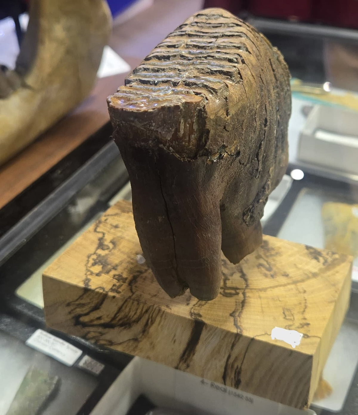 Stone Mineral
