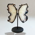 Brazilian Agate Butterfly