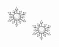 Snowflake Earrings