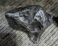 Stone Fossil