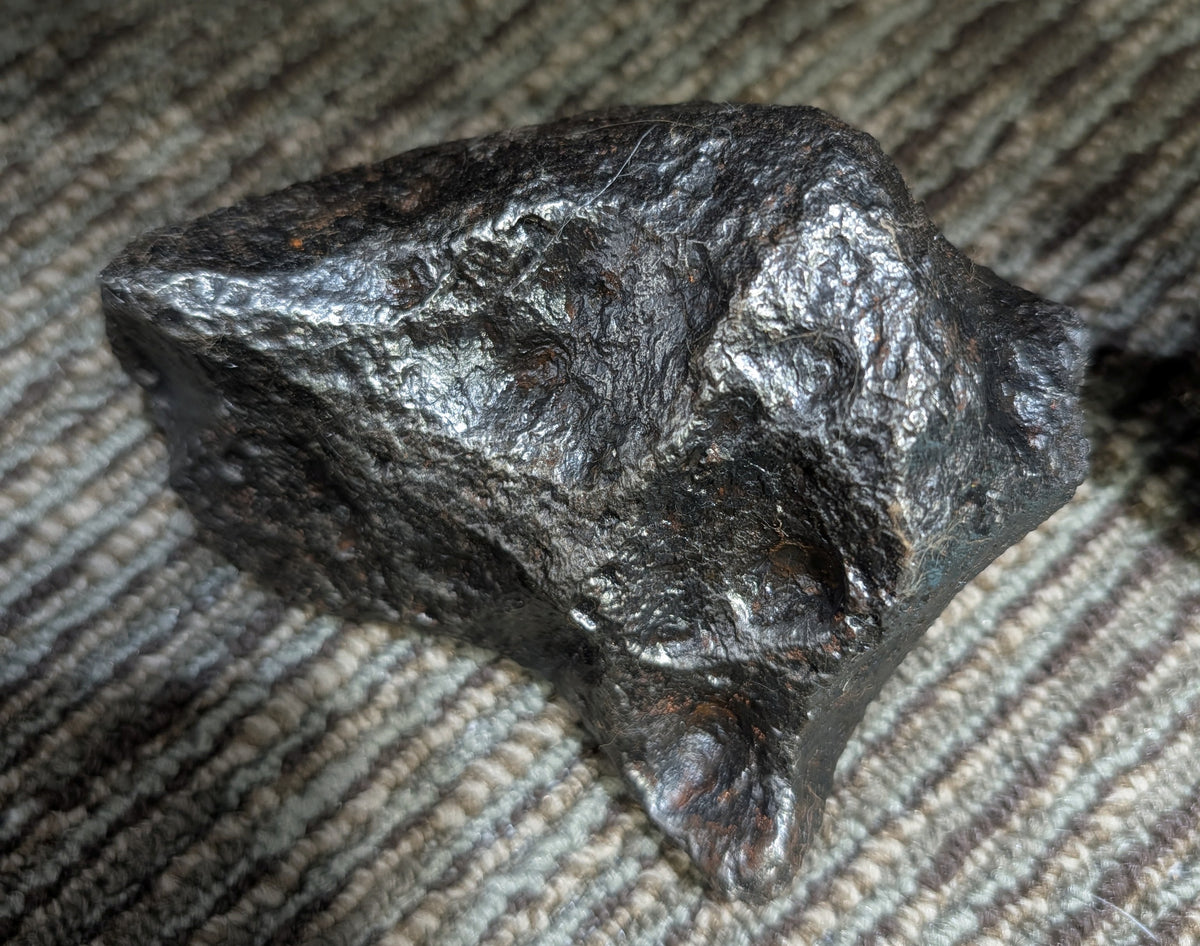 Stone Fossil