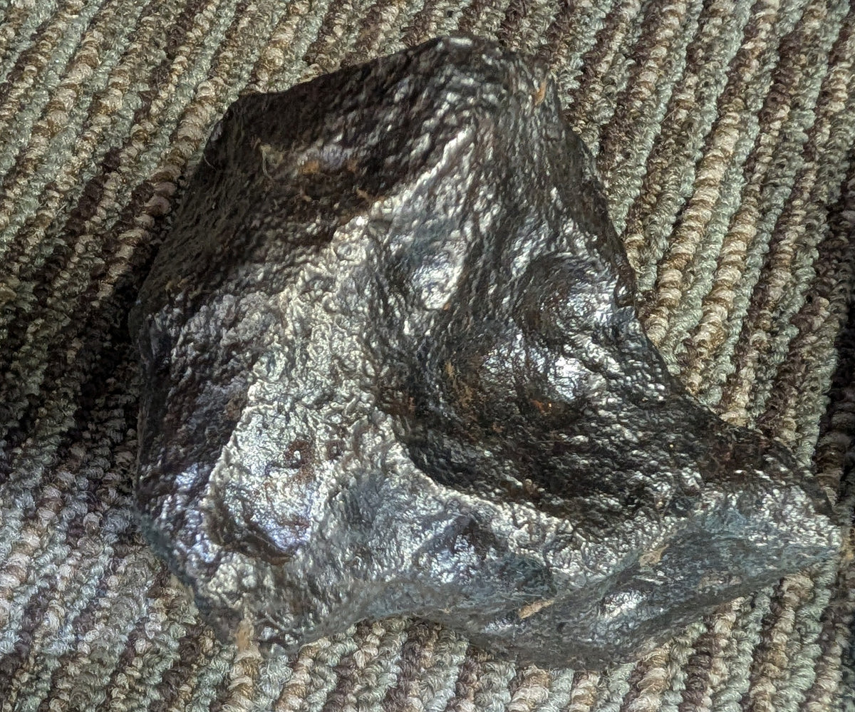 Stone Fossil