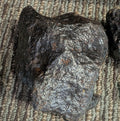 Stone Fossil