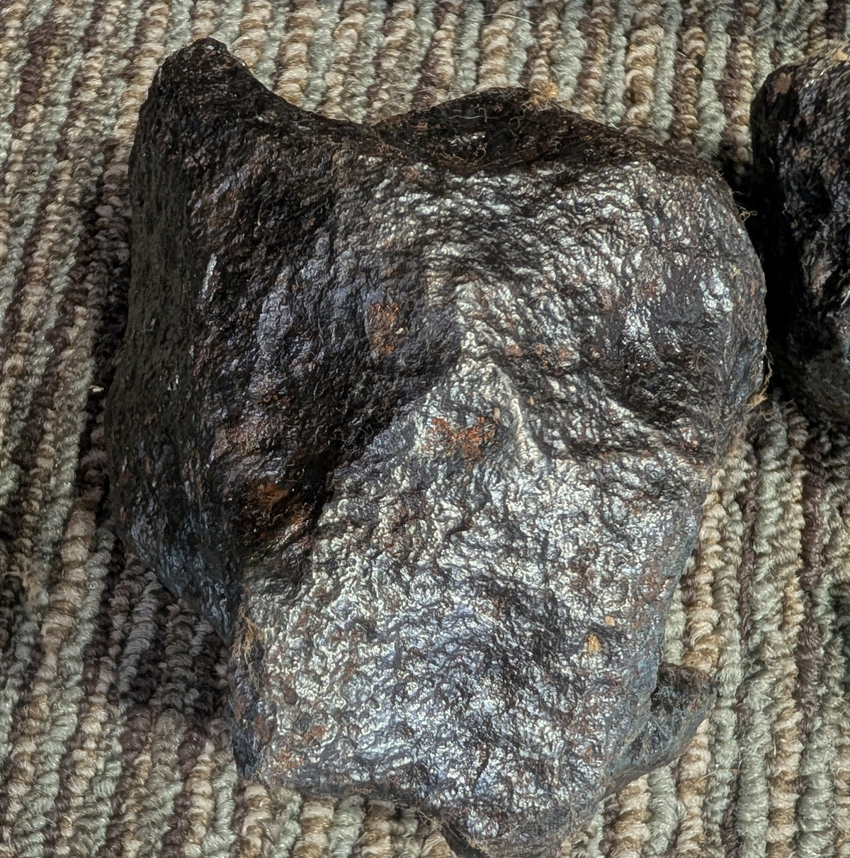 Stone Fossil