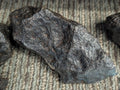 Stone Fossil