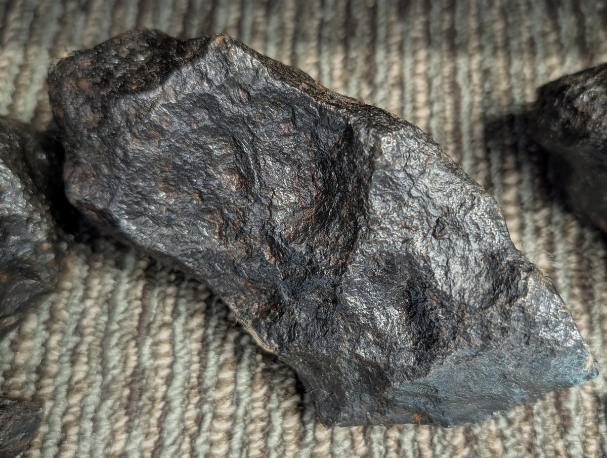 Stone Fossil