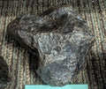 Stone Fossil