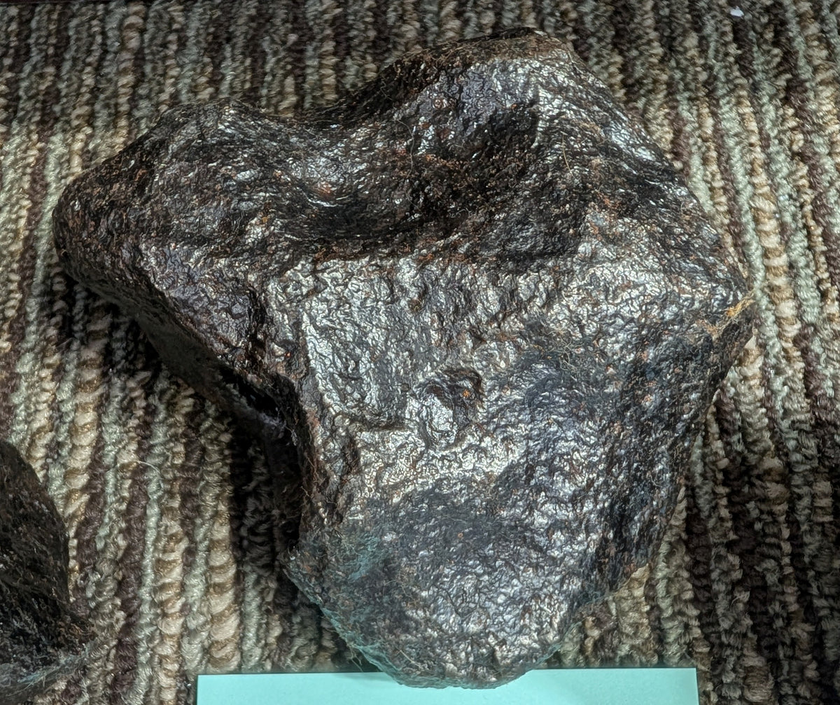 Stone Fossil
