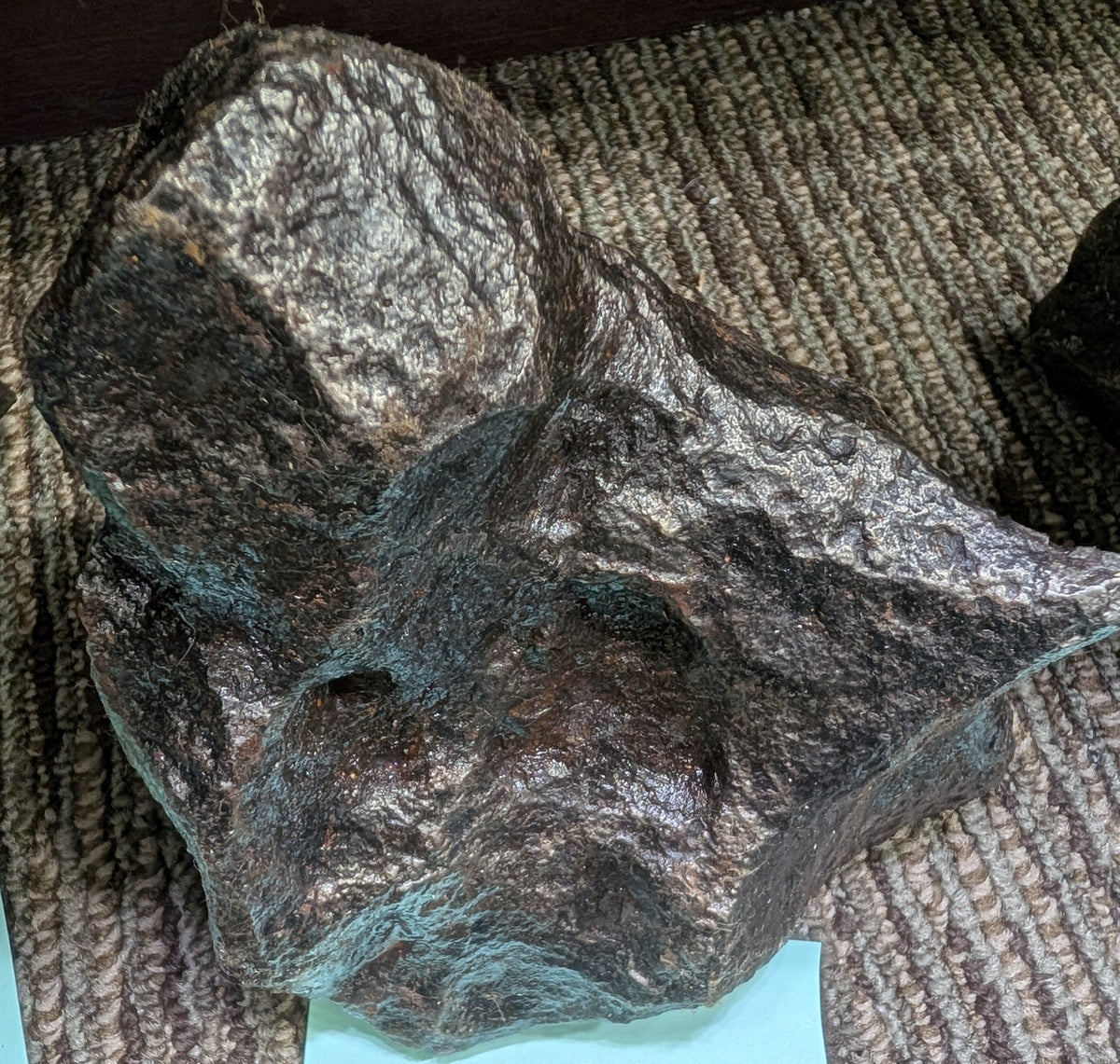 Stone Fossil