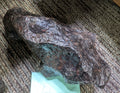 Stone Fossil