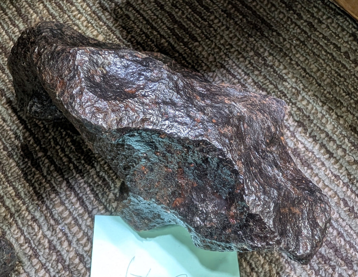 Stone Fossil