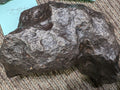 Stone Fossil