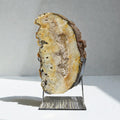Agate Slice