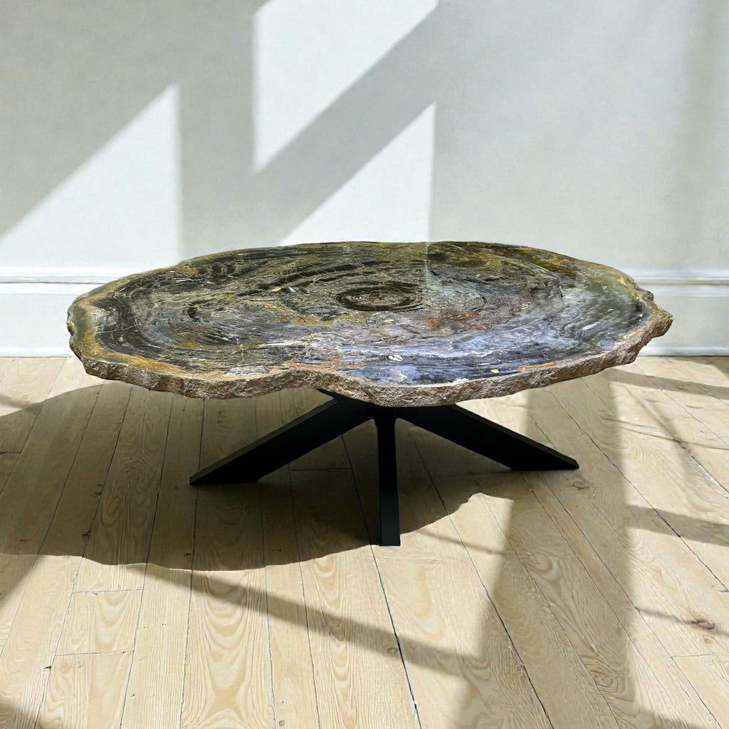 Arizona Petrified Wood Coffee Table