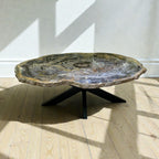 Arizona Petrified Wood Coffee Table