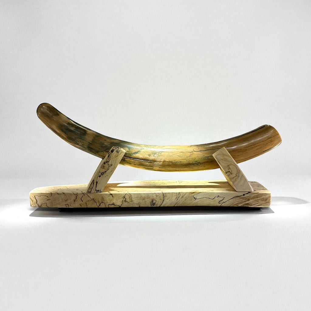 Alaskan Mammoth Tusk