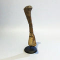 Kritosaurus Tibia