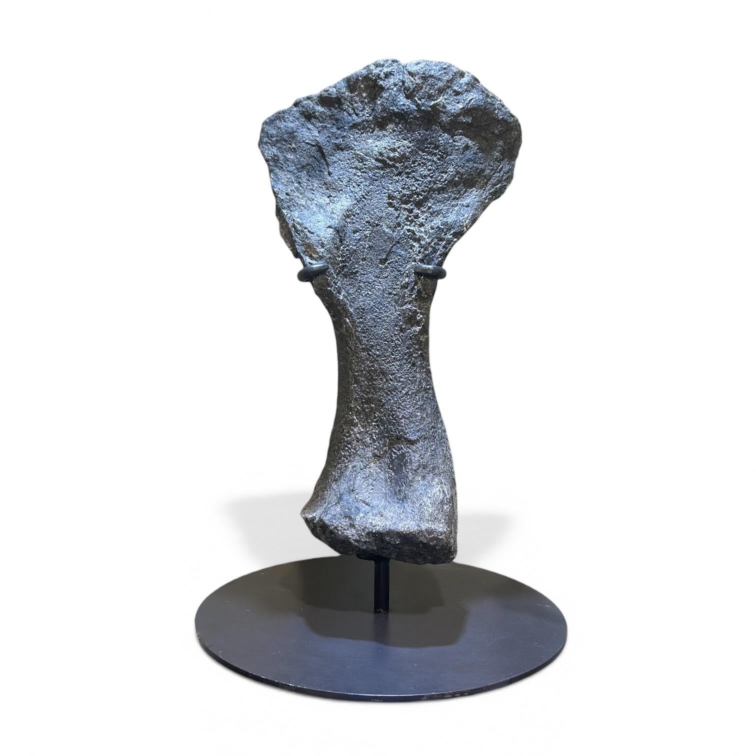 STONE FOSSILS