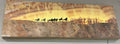 Running Horse Onyx Wall Panel