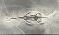 Stone Fossil