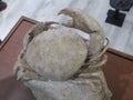 STONE MINERALS