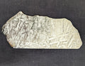 STONE MINERALS