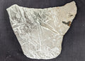 STONE MINERALS