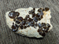STONE MINERALS