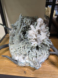 STONE MINERALS