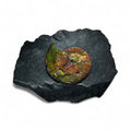 Ammonite Wall Display
