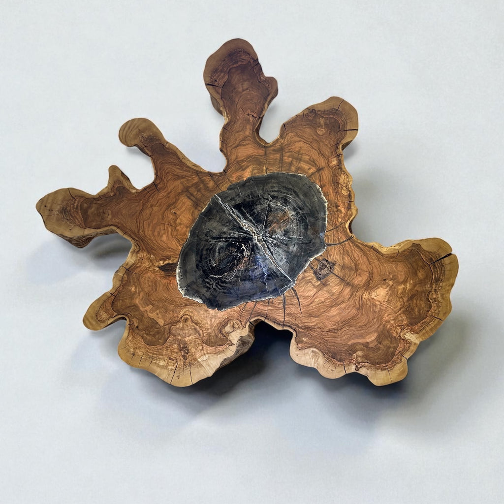 Arizona Petrified Wood inset in Olive Wood from Northern Italy
