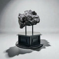 Campo del Cielo Meteorite